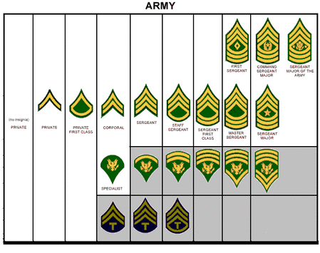 The Ranks U S Army Sergeants Major Academy